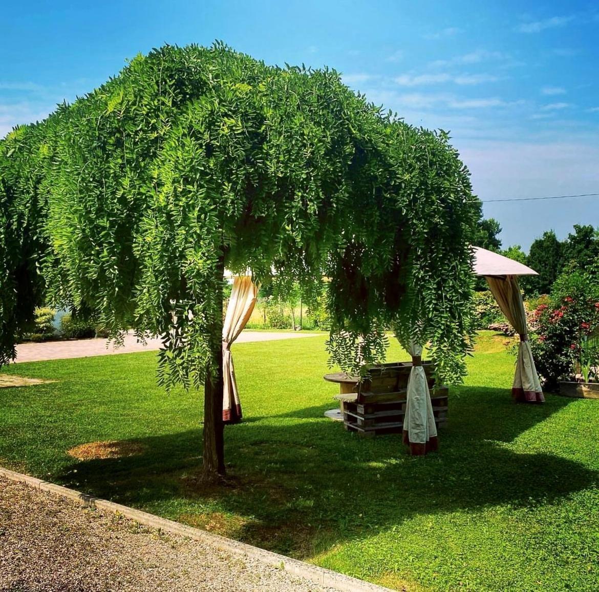 B&B Il Sentiero Noale Exterior photo
